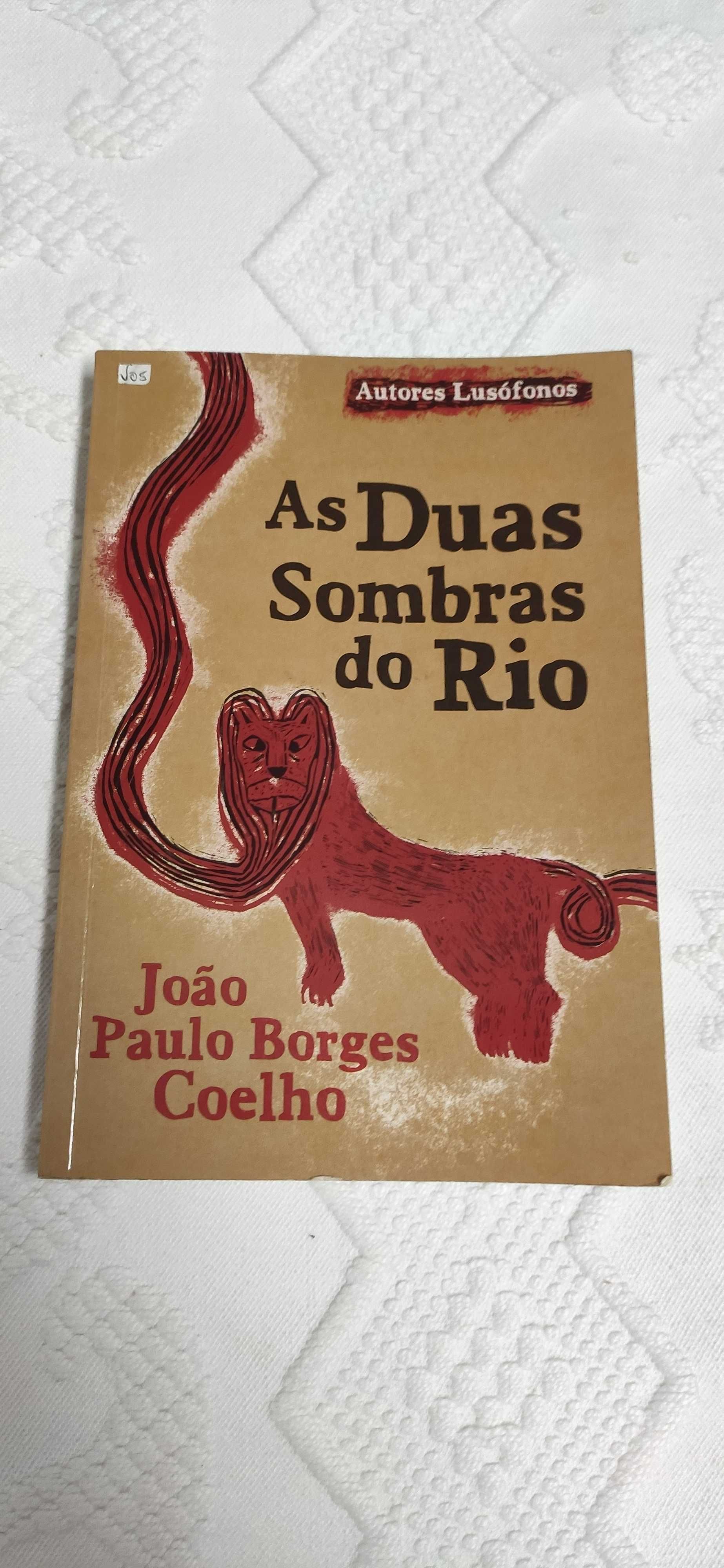 As duas sombras do Rio - João Paulo Borges Coelho