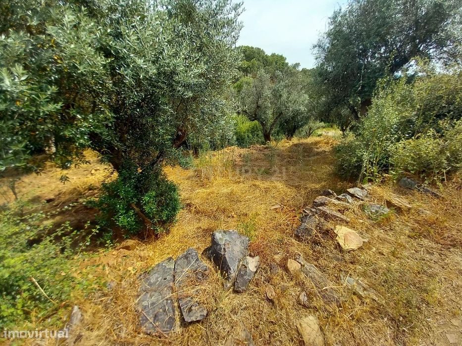 Terreno Rústico 520m2 Palvarinho