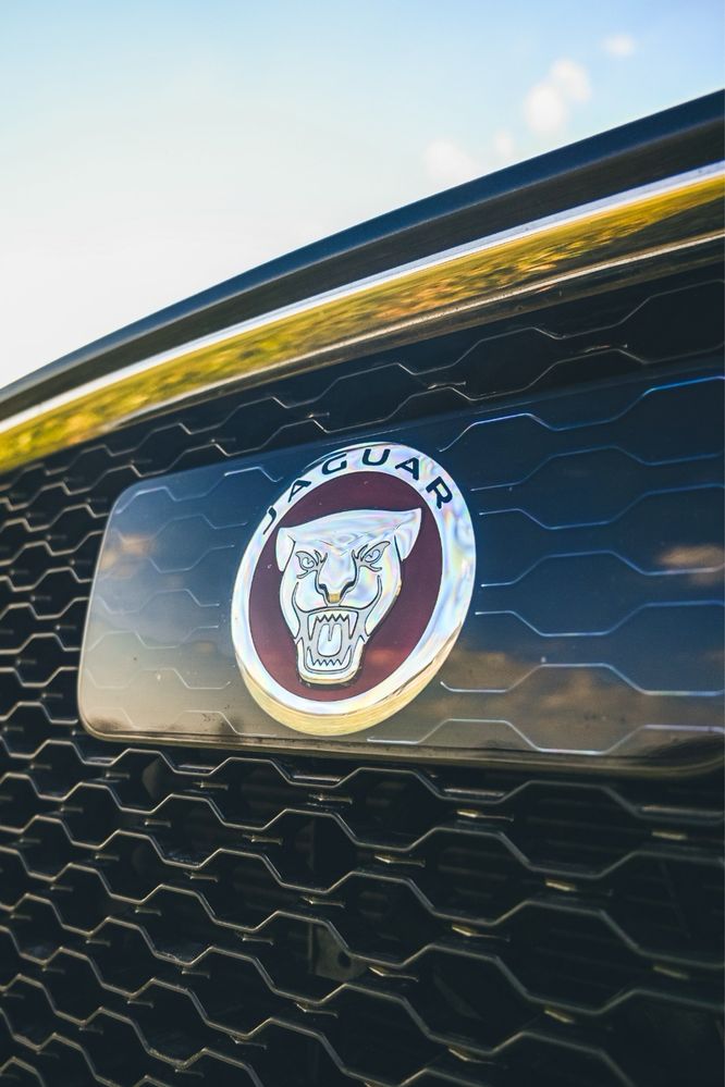 Jagura F-pace - polski salon - zadbany z pięknym wnetrzem