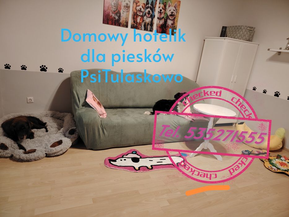 Hotel domowy dla psów zwierząt PsiTulaskowo opieka behawiorysty