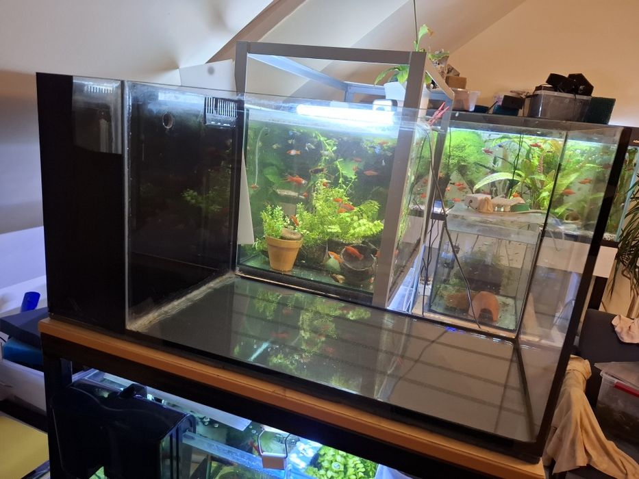 Akwarium 112 L z kominem