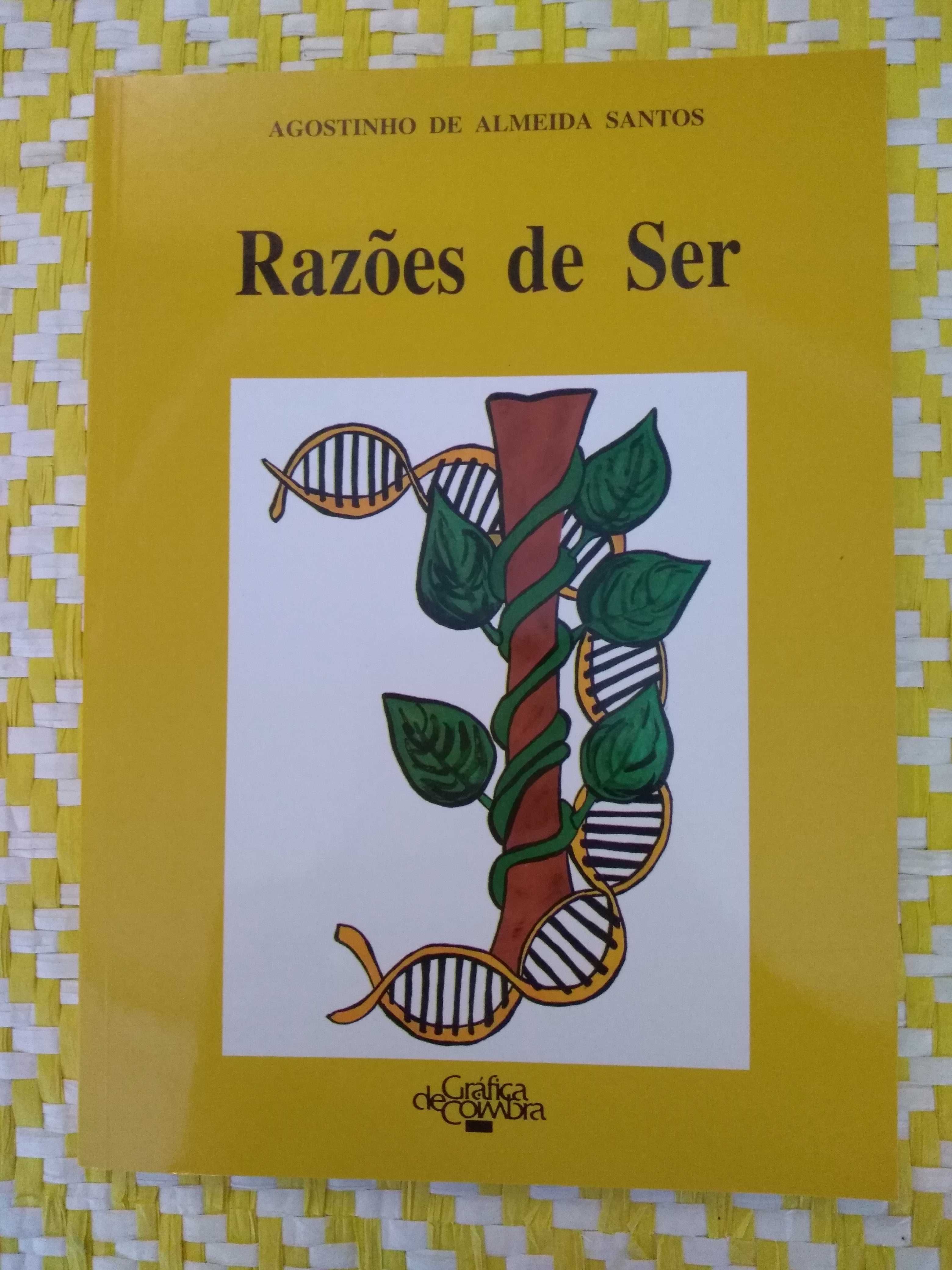 RAZÕES DE SER – 
Agostinho de Almeida Santos