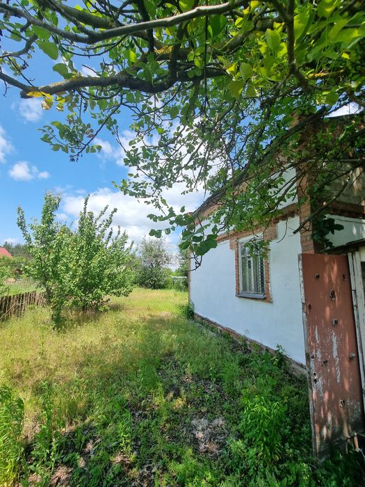 Їжаківка, капітальна дача в сосновому лісі, документи
