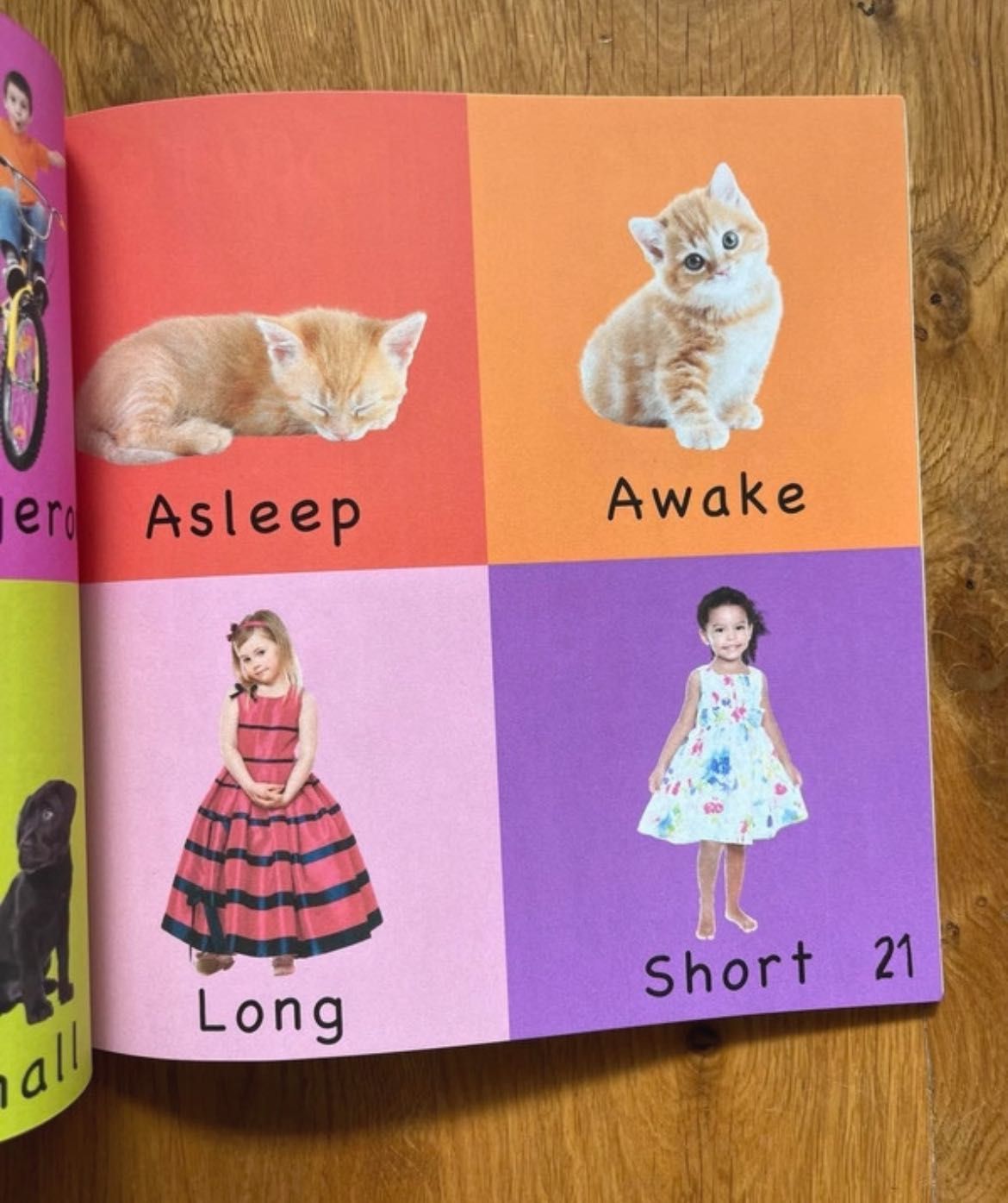The Toddler's Handbook angielski