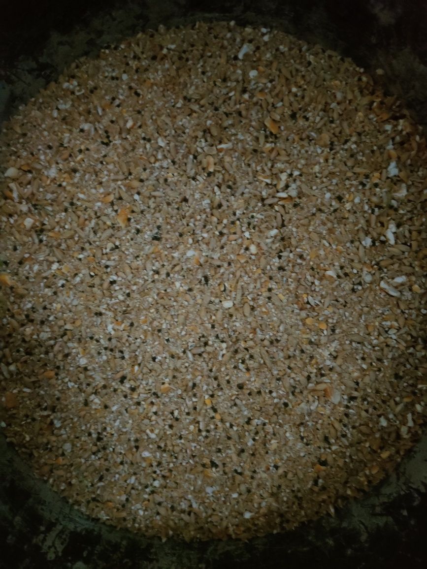 ŚRUTA ZBÓŻ pasza wielogatunkowa 20kg