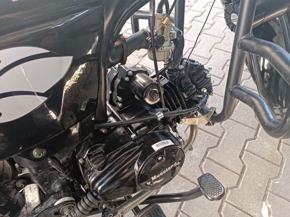 Мустанг альфа 125