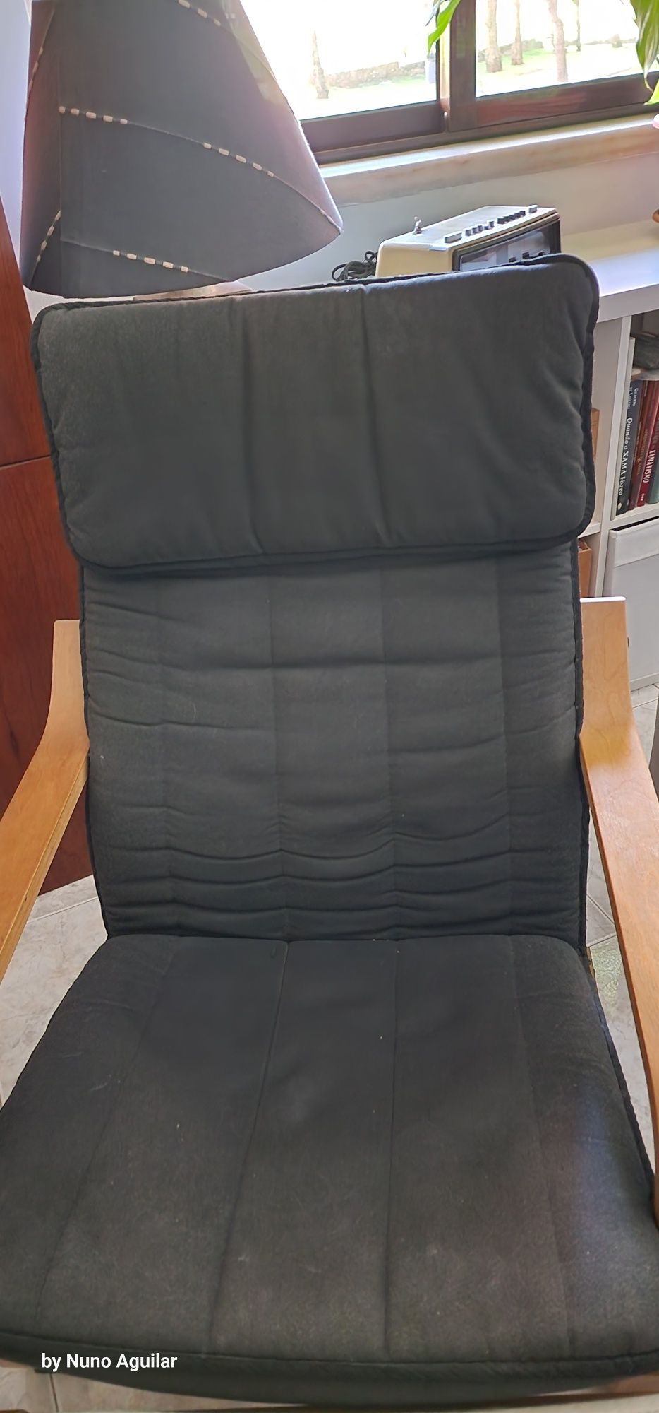 Cadeira de descanso Ikeia