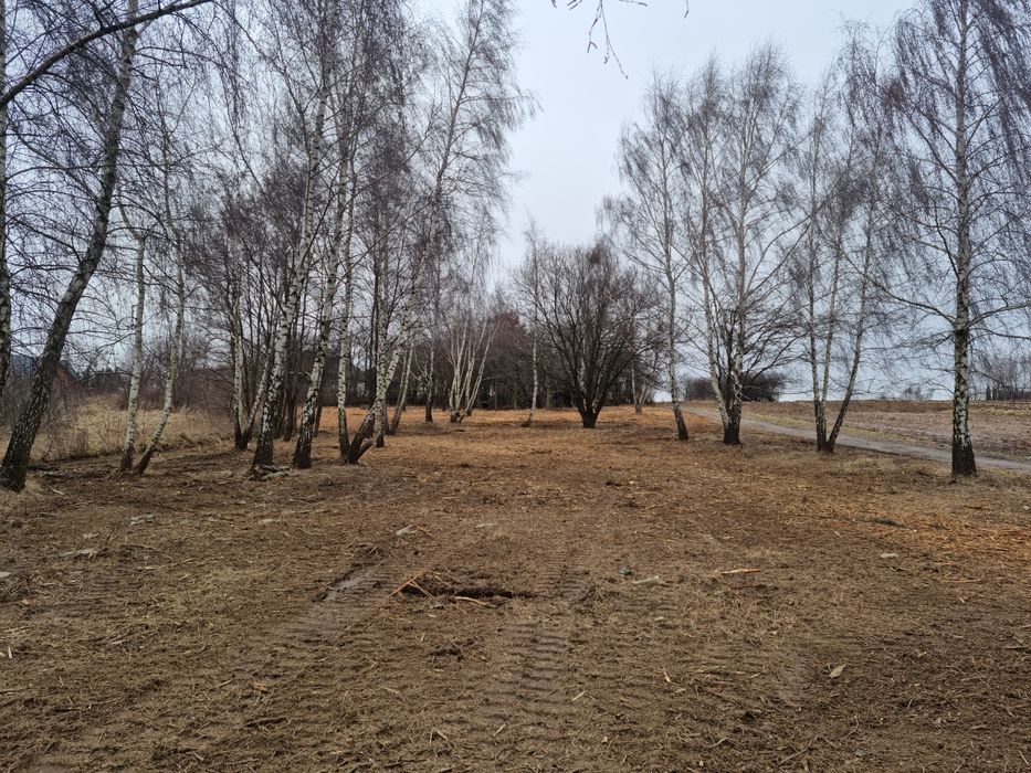 Wycinka krzaków zarośli drzew karczowanie działek mulczer oczyszczenie