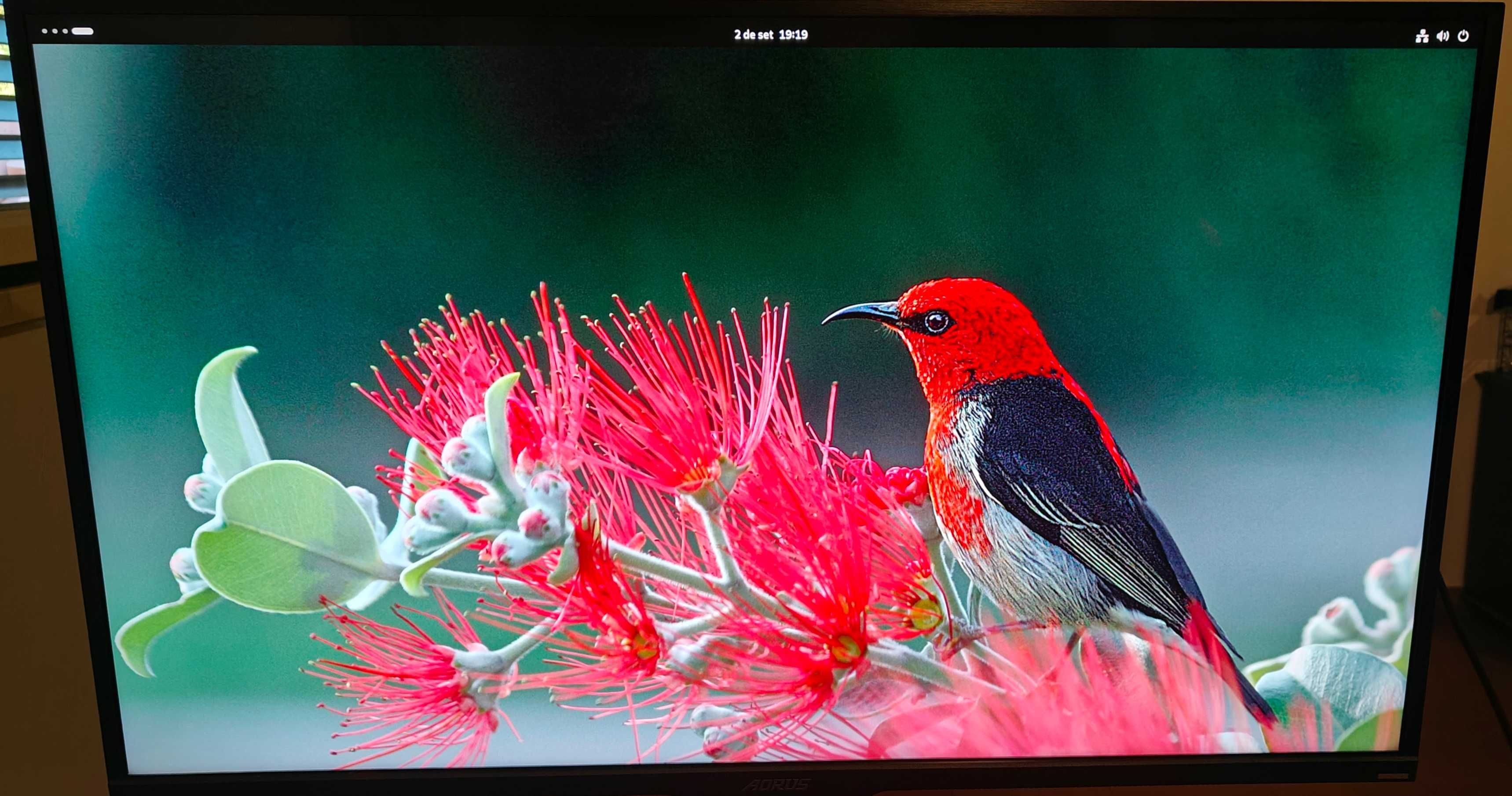 Monitor AORUS FV43U UHD 4K Quantum Dot 144Hz HDR + Fatura e Garantia