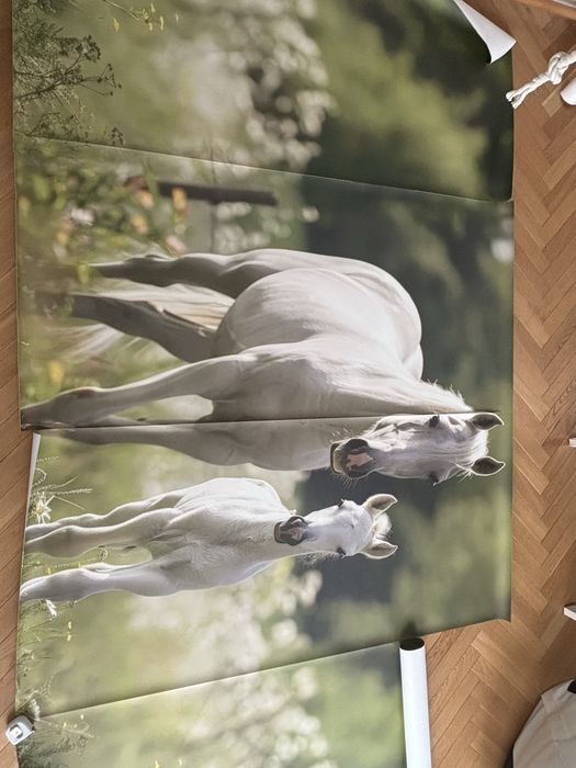 tapeta konie długa duża gruba 170x405cm winylowa fizelinowa