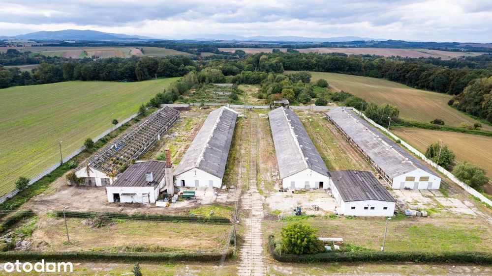 Budynki hodowlane i magazynowe na działce 4,3ha