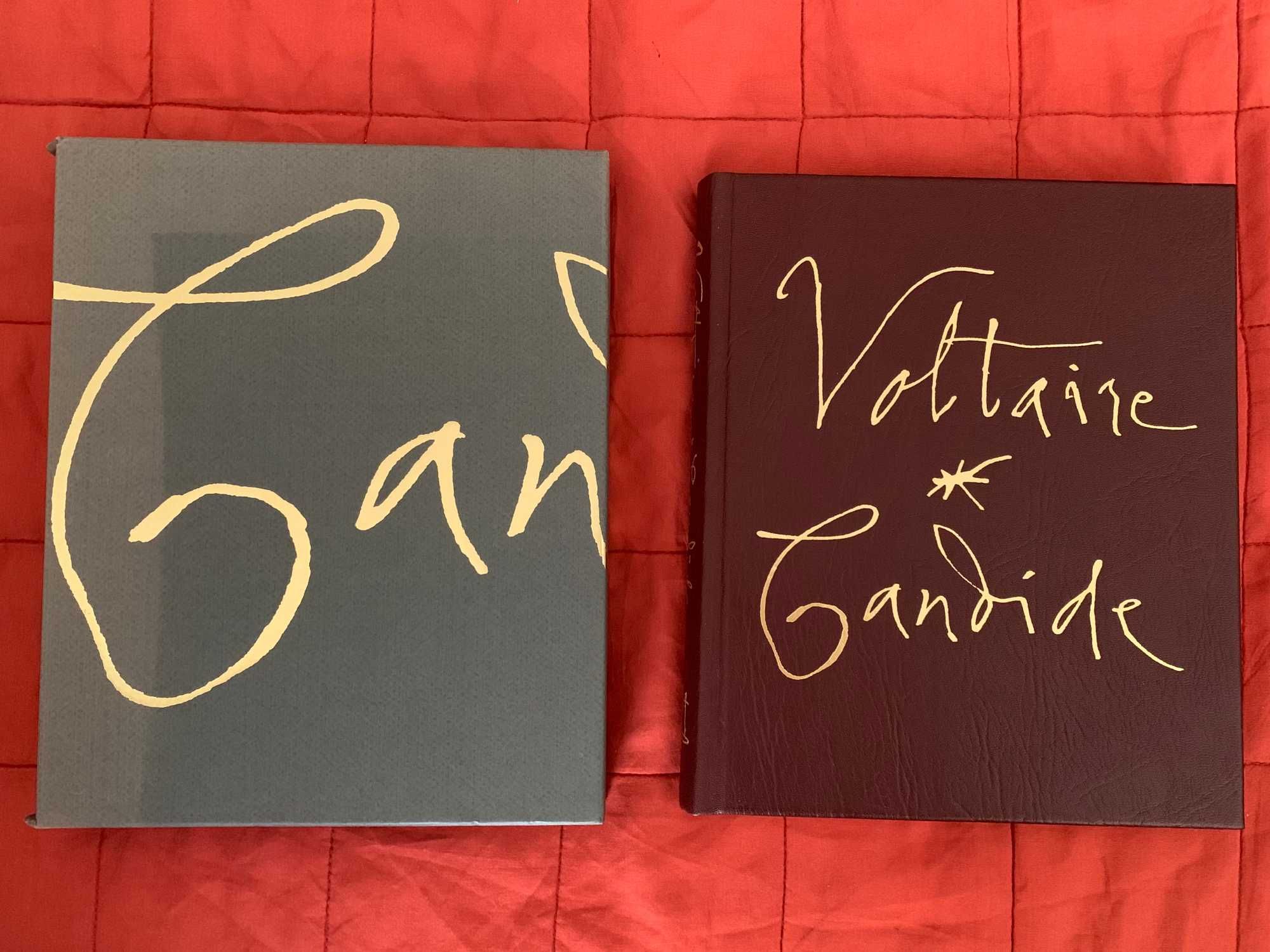 Candide or Optimism, 2011 - Voltaira
