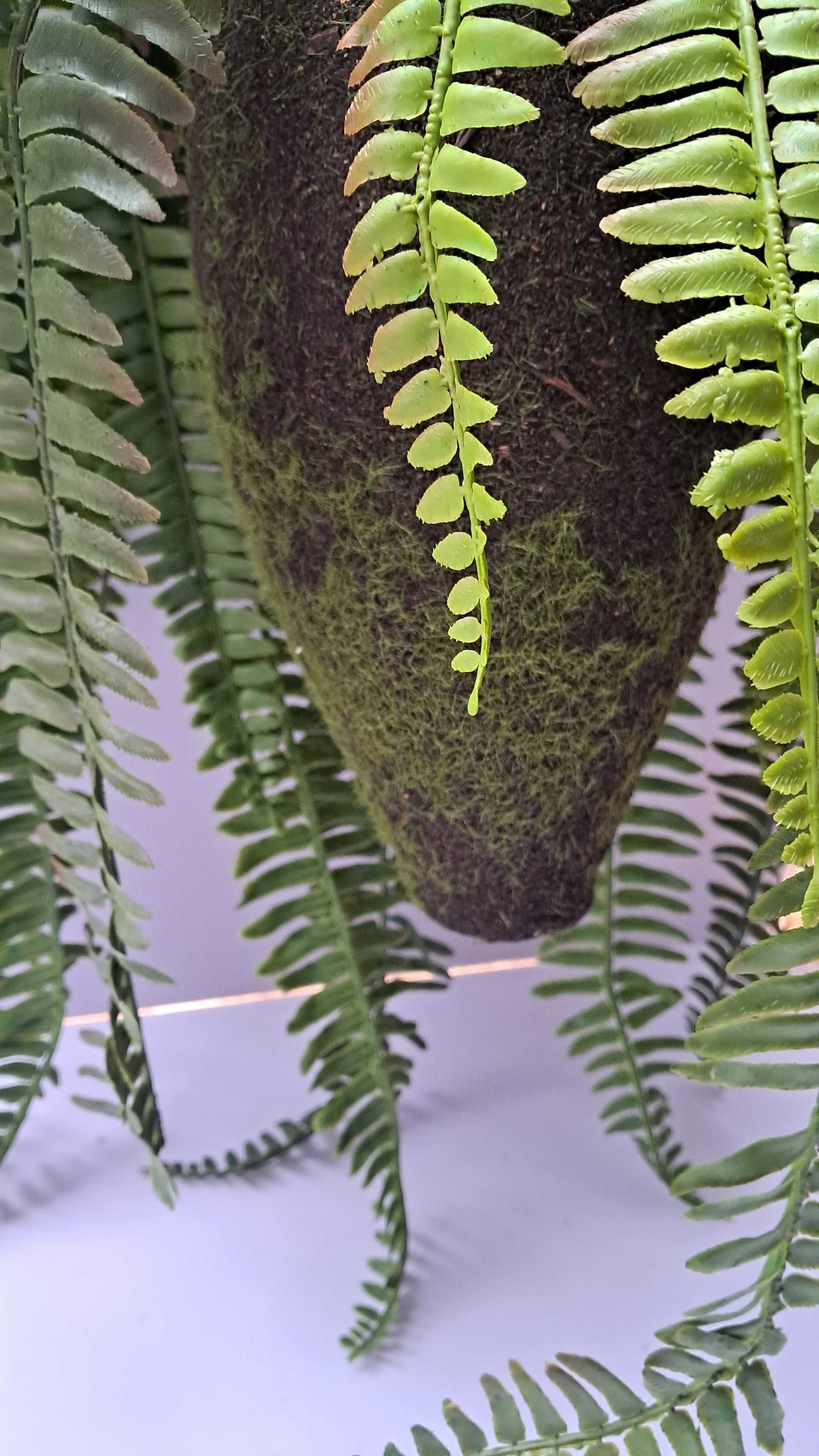 Dekoracja roślinna Woood „Fern”, O 30, wys. 58 cm sztuczna paproć