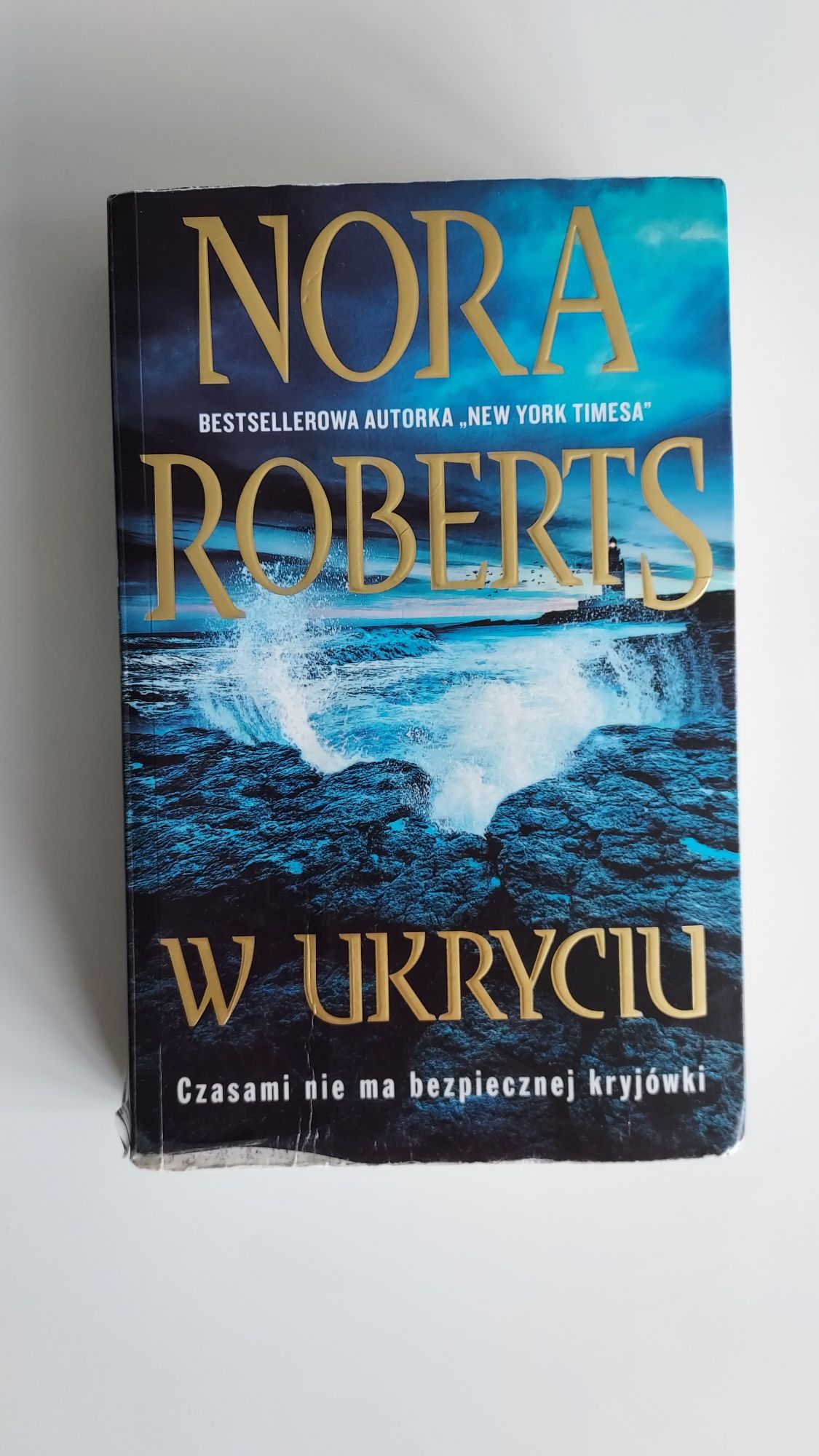 Nora Robers W ukryciu
