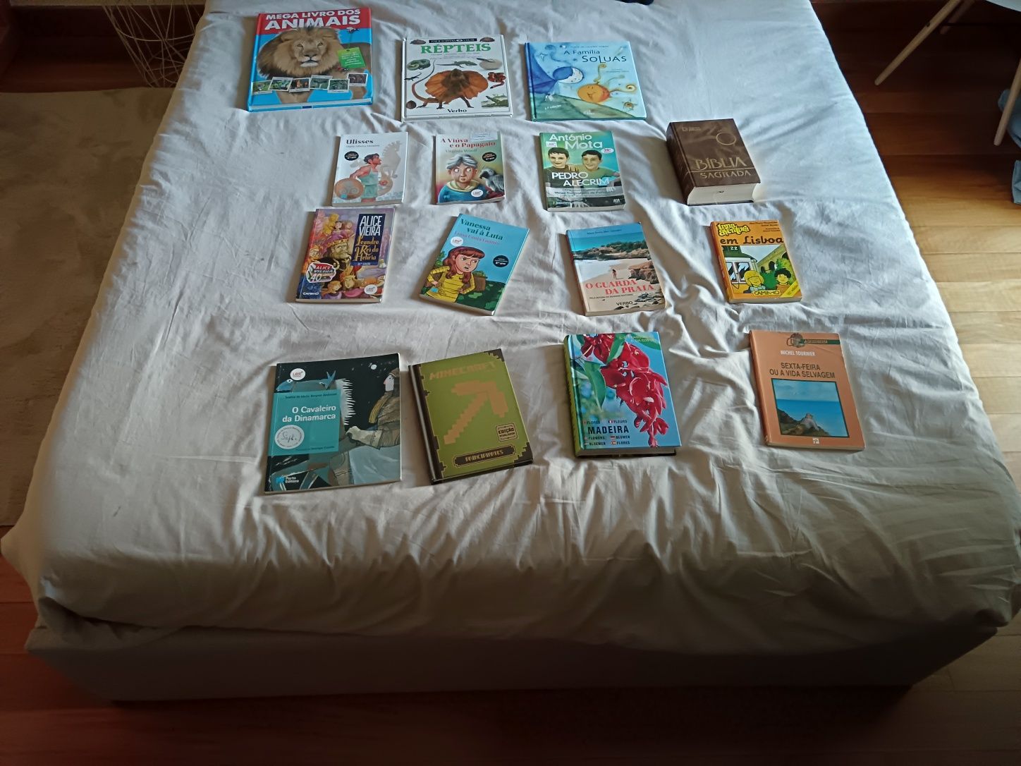 Seleção de vários tipos de livros cada livro por 6€