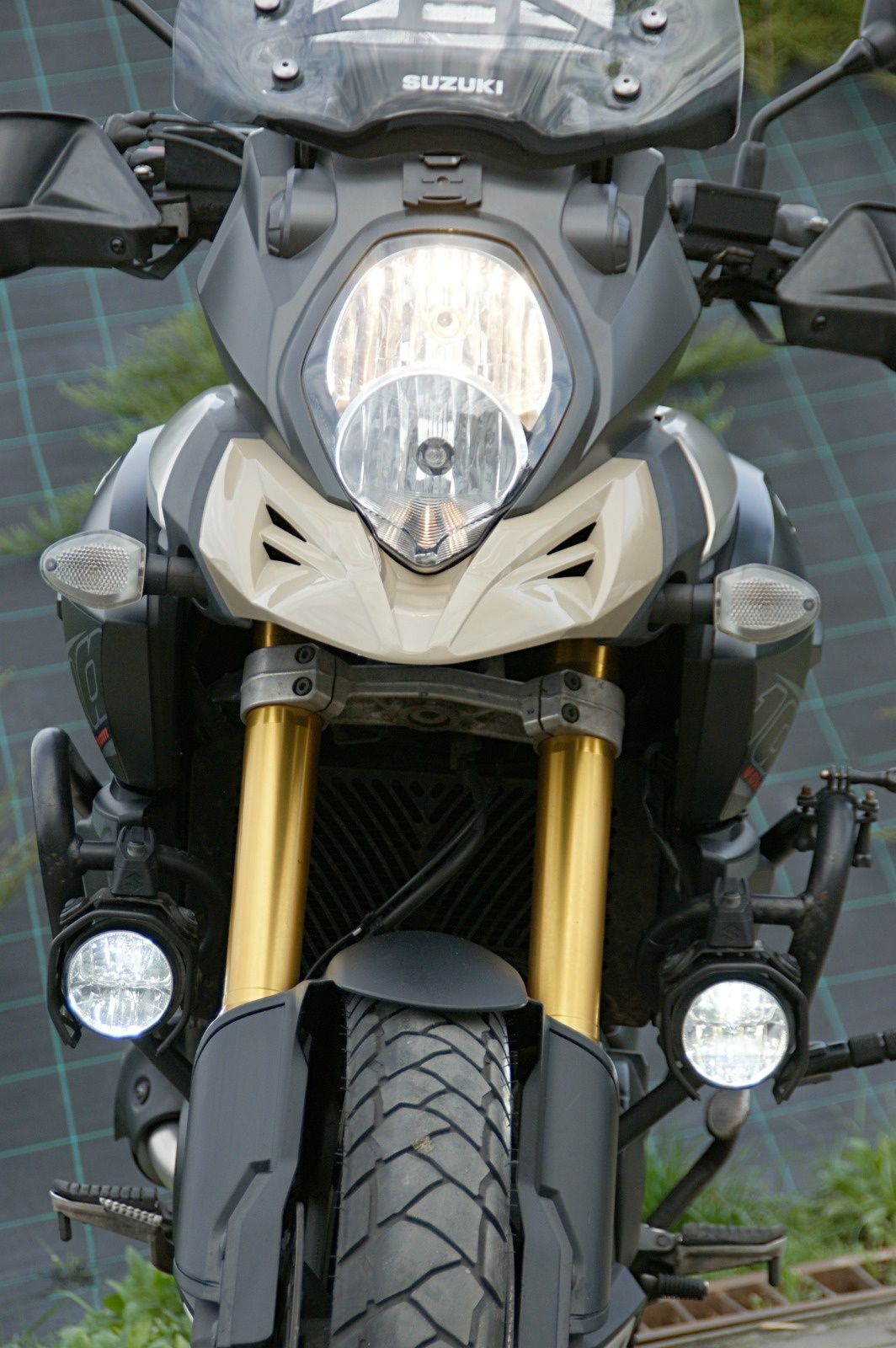 SUZUKI    DL1000