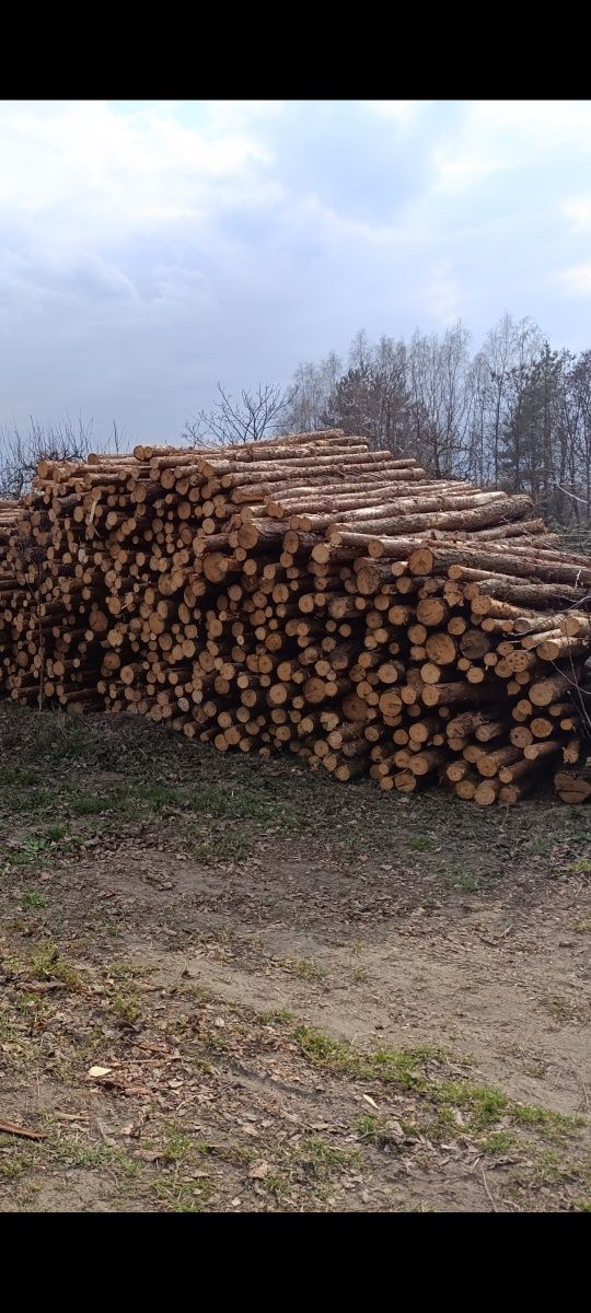 Słupki ogrodzeniowe drewniane 2,5/2,7/3m