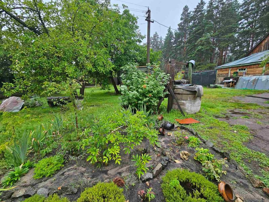 Ділянка з дачним будинком 25 соток  Комарівка Ліс