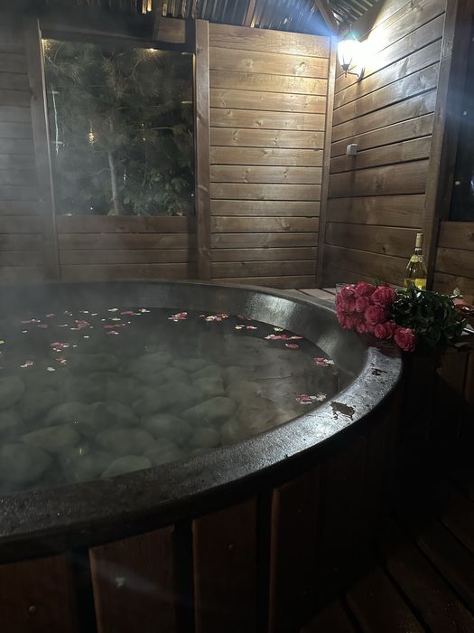 Будиночок біля Львова: сауна, чан, басейн (на новий рік заброньовано)