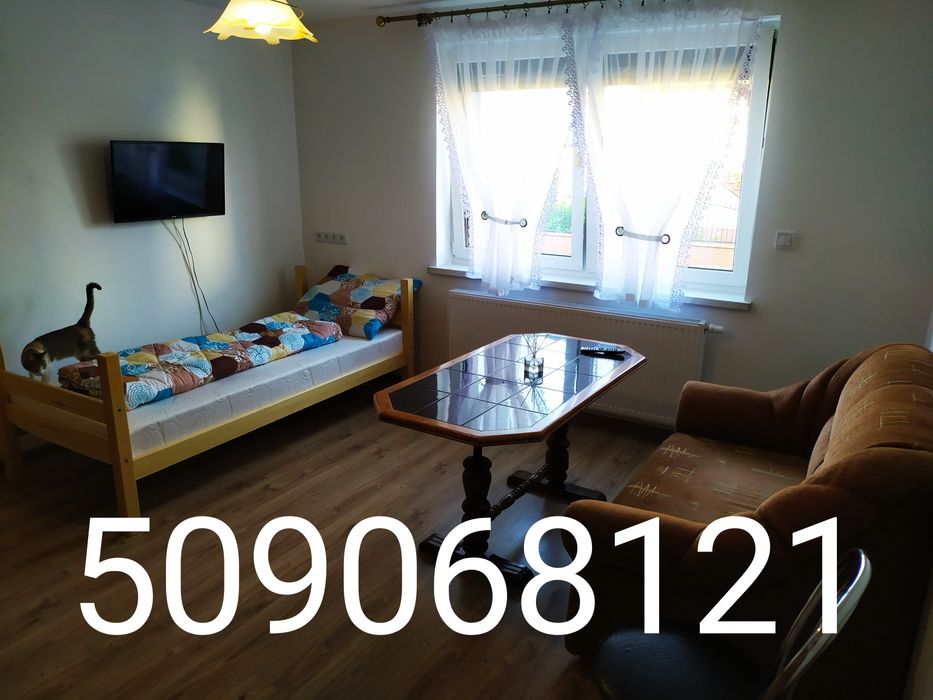 Pokoje do wynajęcia