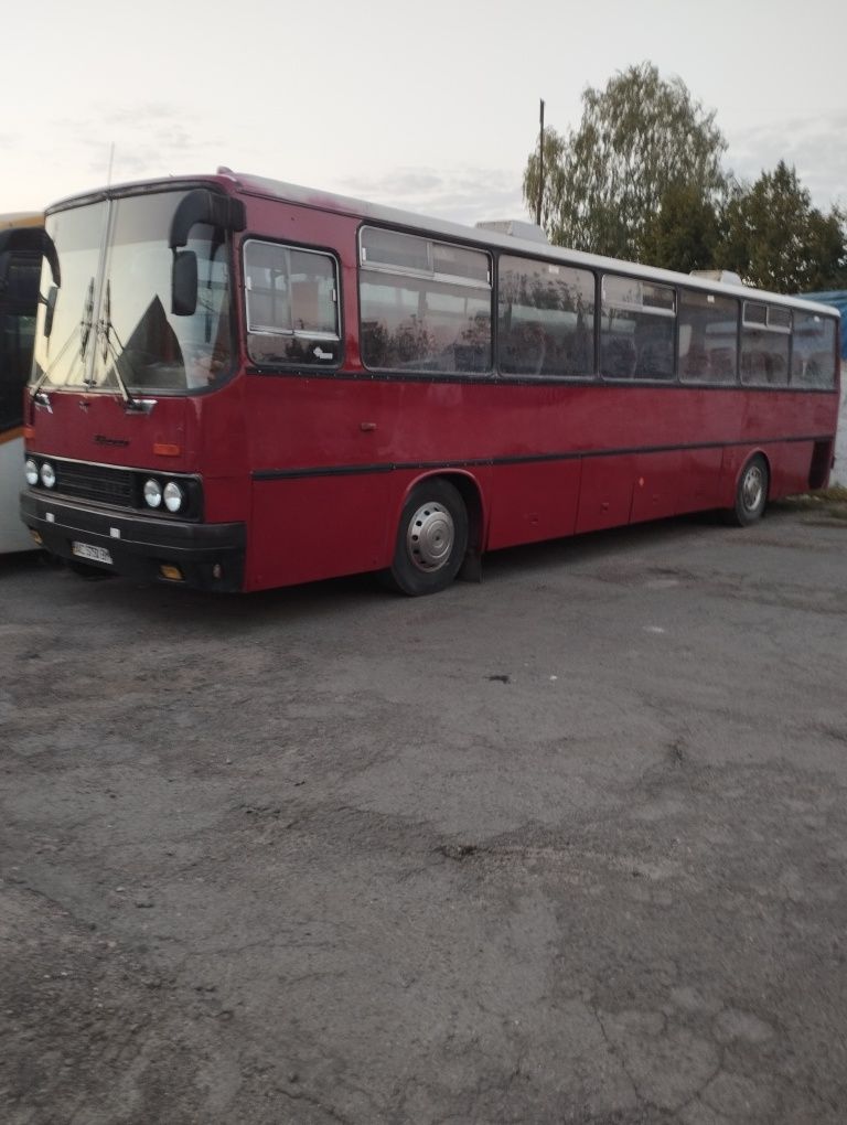 Автобус Ікарус на ходу