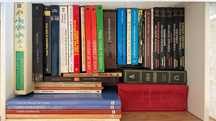 Lote de Livros de Vários Temas