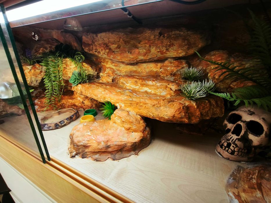 Terrarium agama terrarium pustynne 100x40x40 cały osprzęt