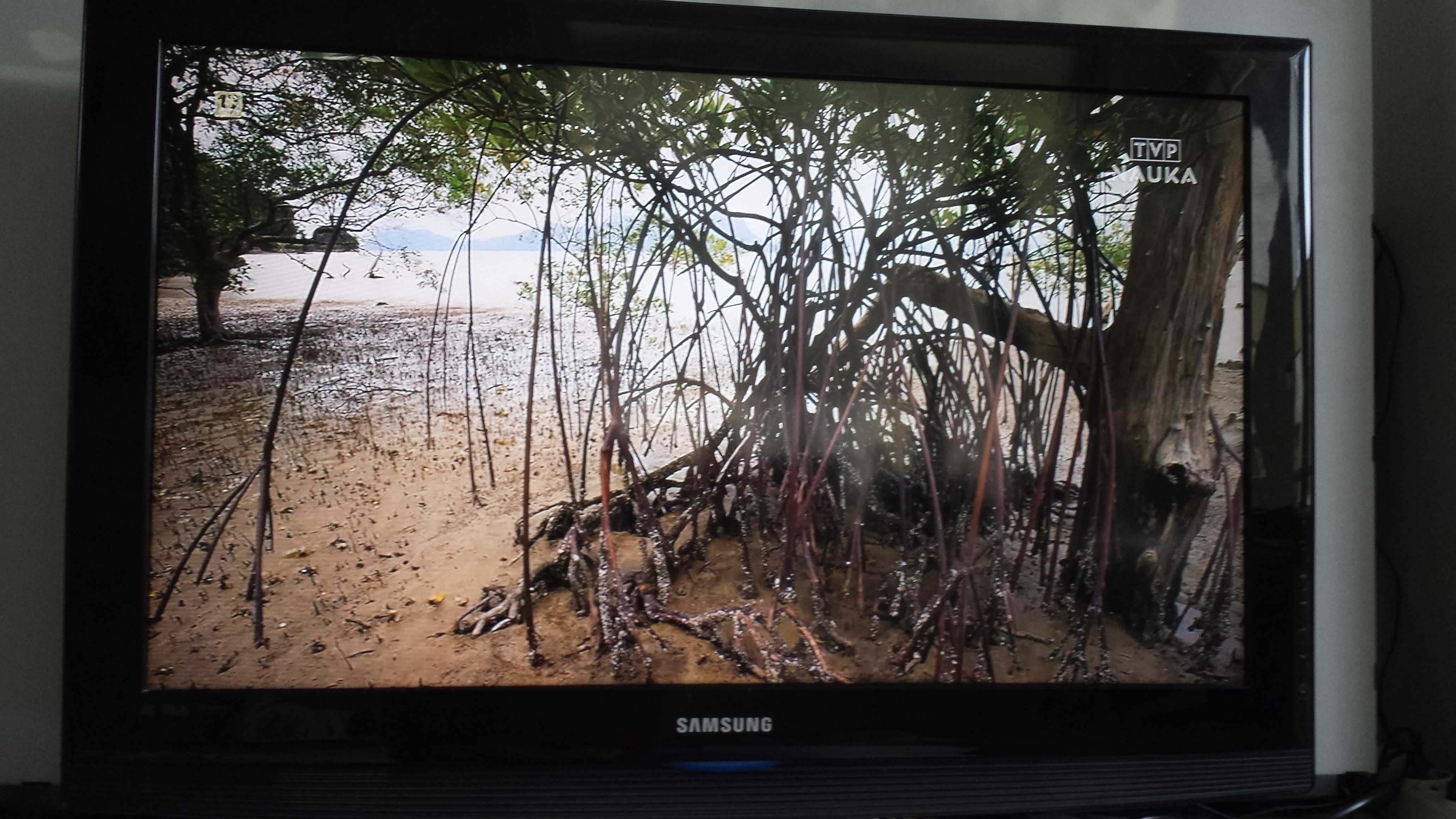 Telewizor Samsung 32''