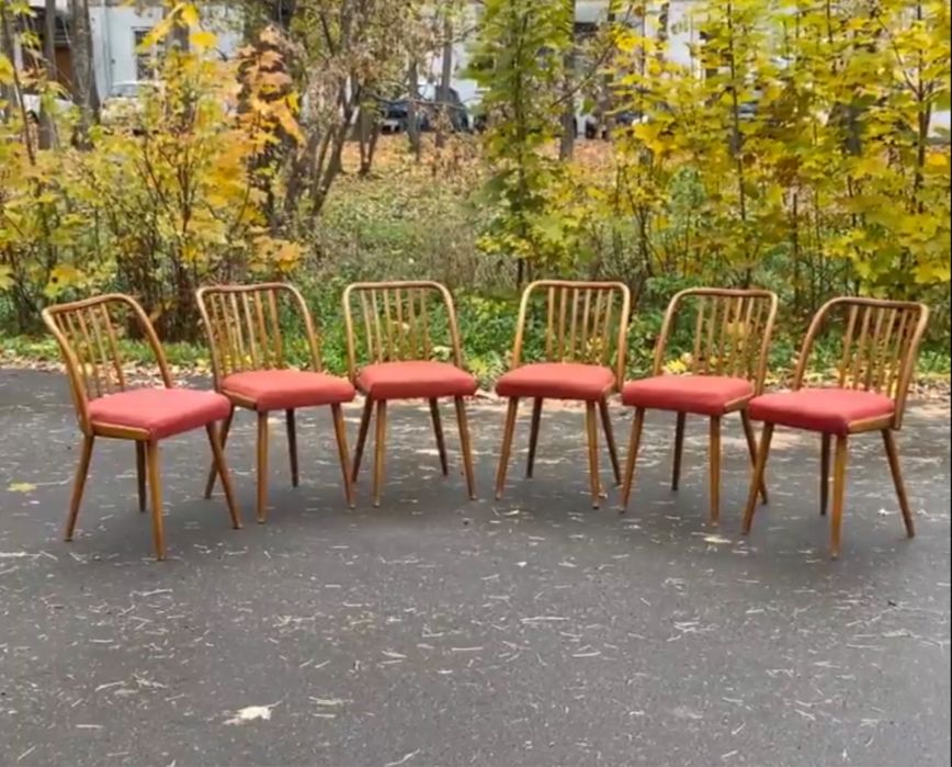 Винтажные буковые стулья Mid century