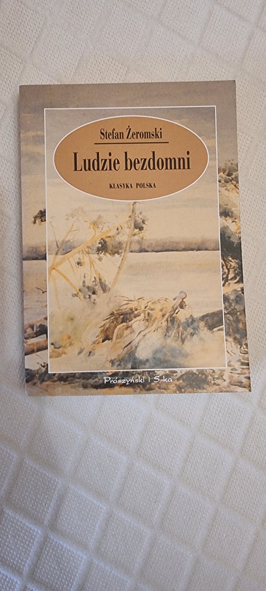 Lektury szkolne -literatura polska 10 ksiazek