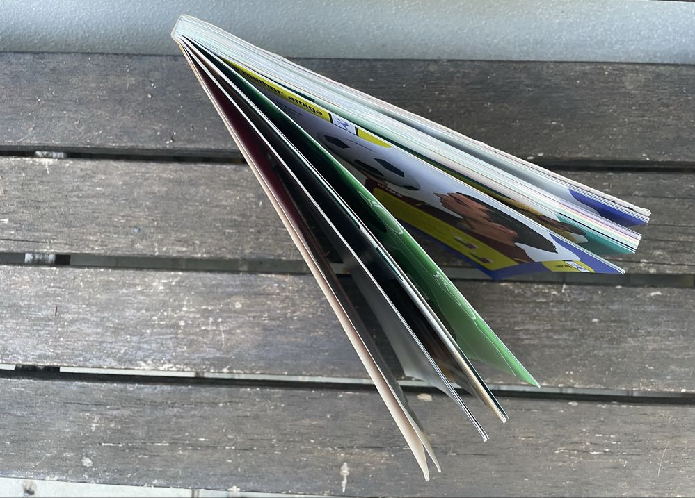 Vendo livro Simão Sabrosa futebol
