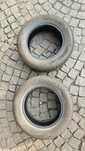 Barum Polaris 5 195/65 R15 T
