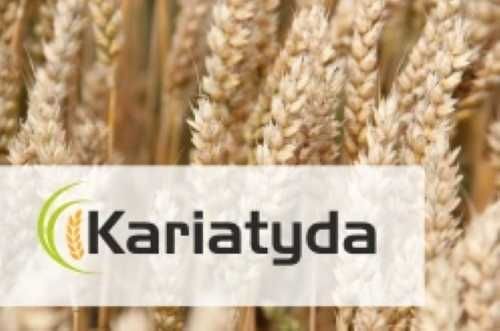 Pszenica ozima KARIATYDA jakościowa E/A