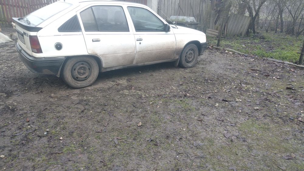 Авто опель кадет