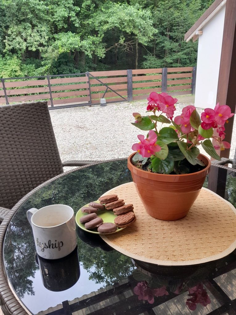 Całoroczny Domek pod Lasem z Jacuzzi.