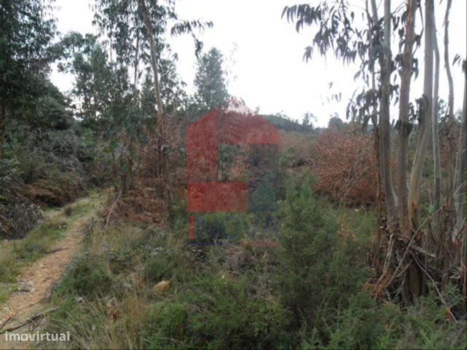 Vende-se Terreno, Cervães