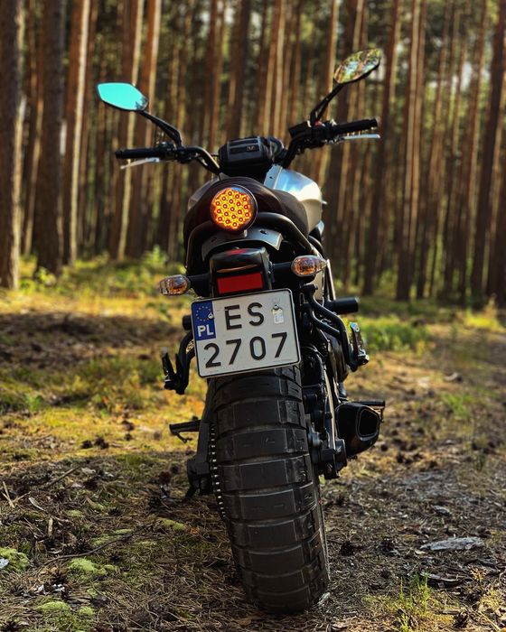 Yamaha XSR 700 Pirelli Termignoni 2018