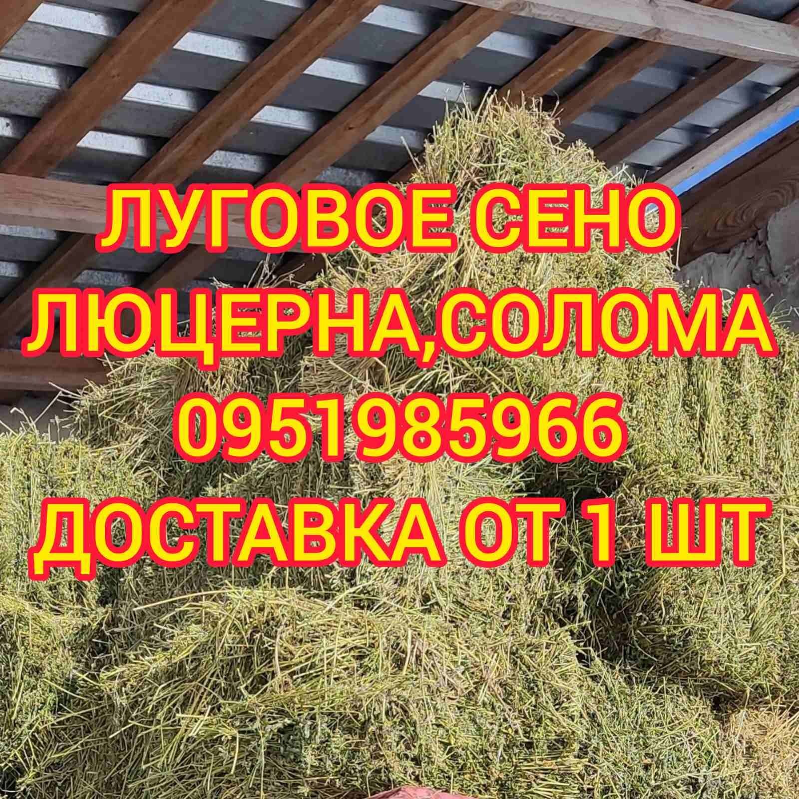 СІНО ЛЮЦЕРНИ в тюках, сено люцерны в тюках, люцерна. Есть б.н. Объёмы.