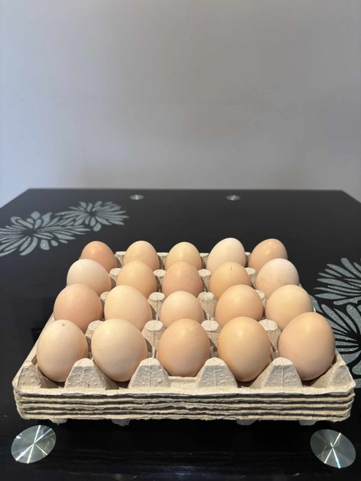 Jajka z wolnego wybiegu