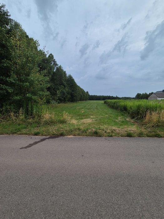 Działka budowlana przy ścianie lasu Grębiszew/Maliszew gm. Mińsk Maz.