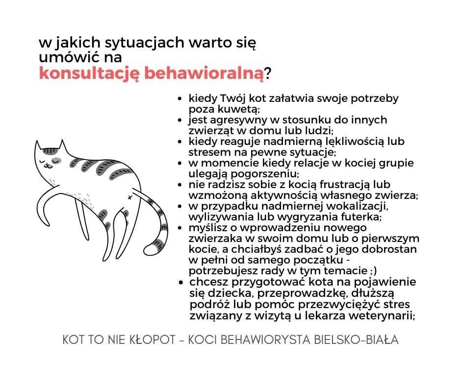 Koci Behawiorysta (PAZiA) - konsultacje behawioralne Bielsko-Biała