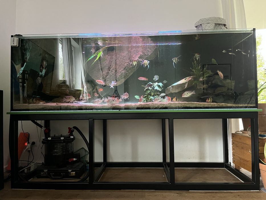 Akwarium 1100l tło strukturalne filtr ryby