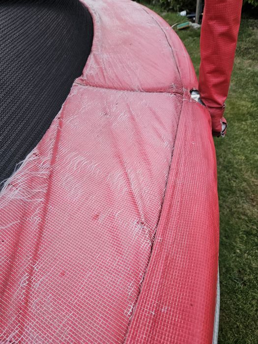 Trampolina goliath