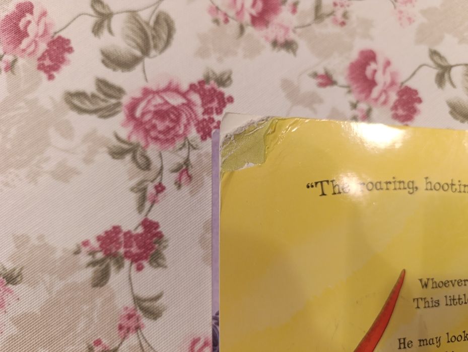 Tyrannosaurus Drip Julia Donaldson książka dla dzieci po angielsku