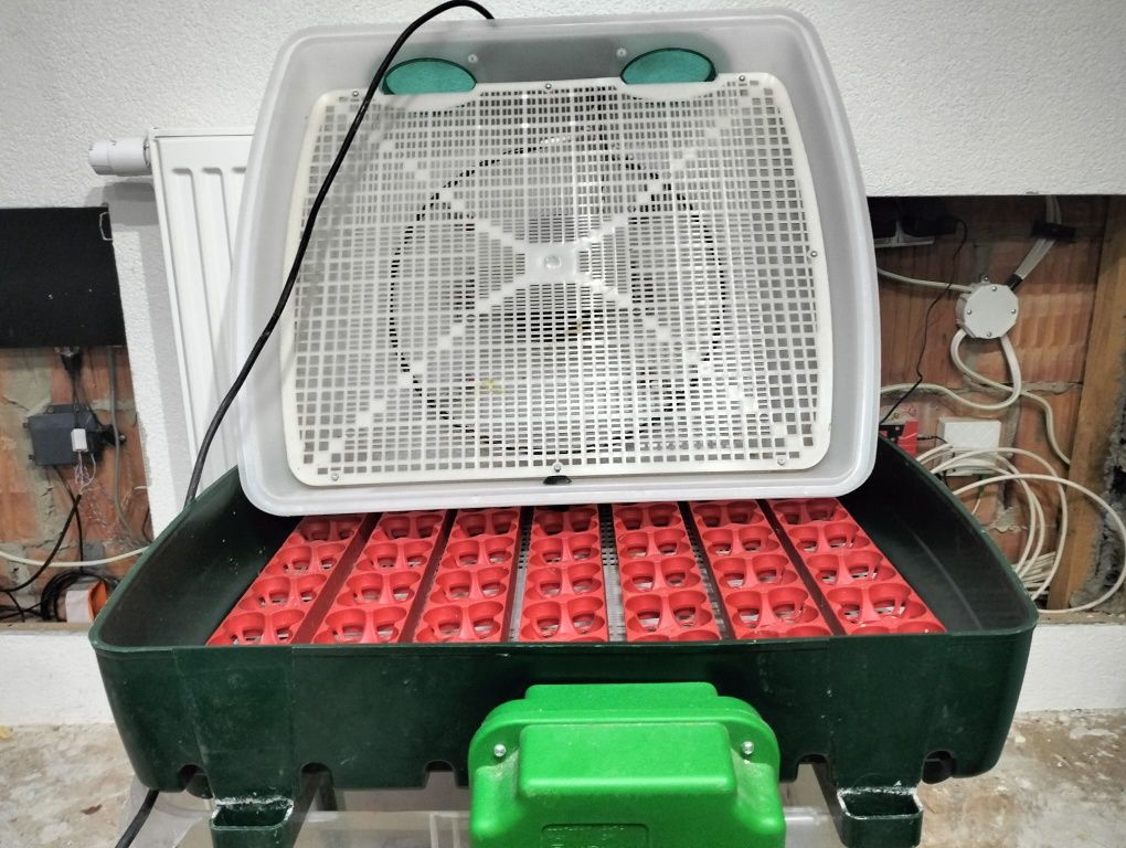 Inkubator na jajka