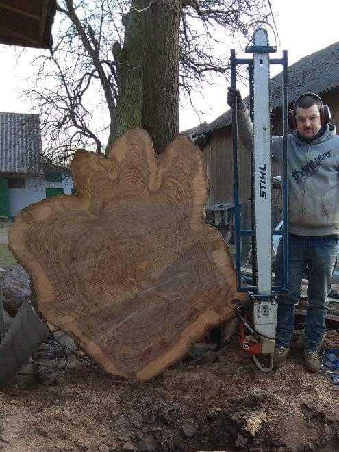tartak trak mobilny do 180 cm wycinka drzew