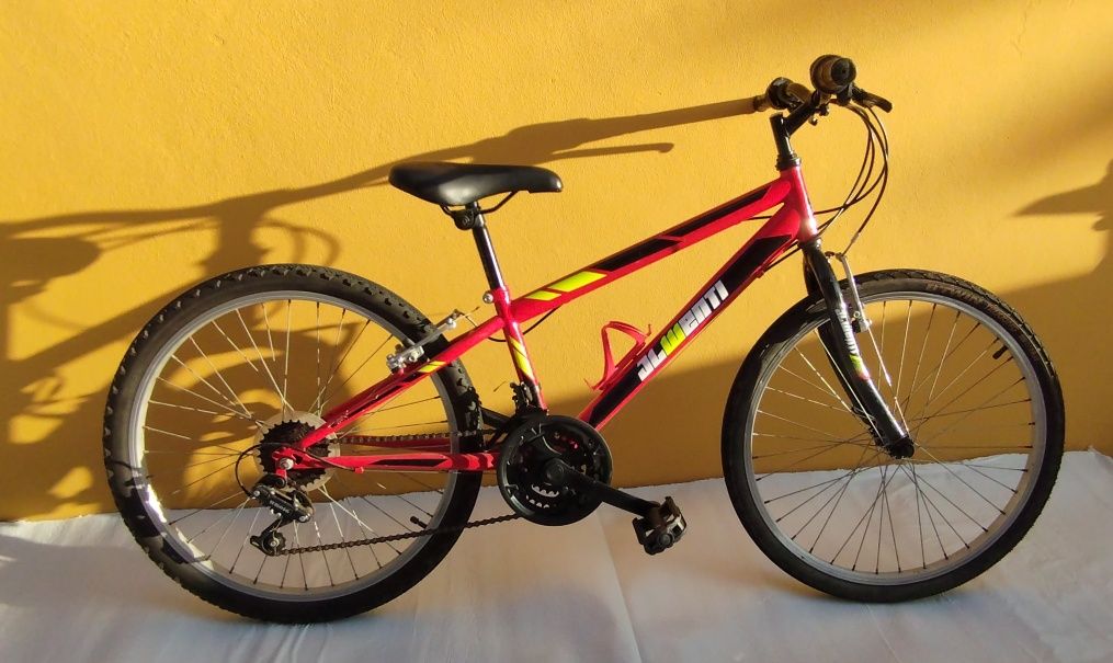 Bicicleta roda 24