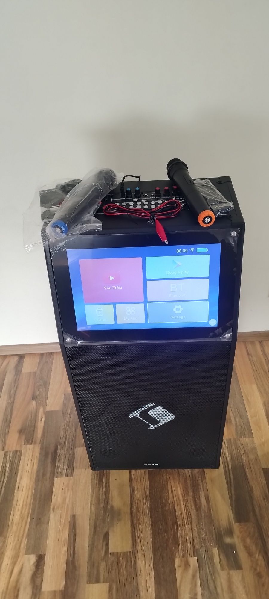 Karaoke auna pro