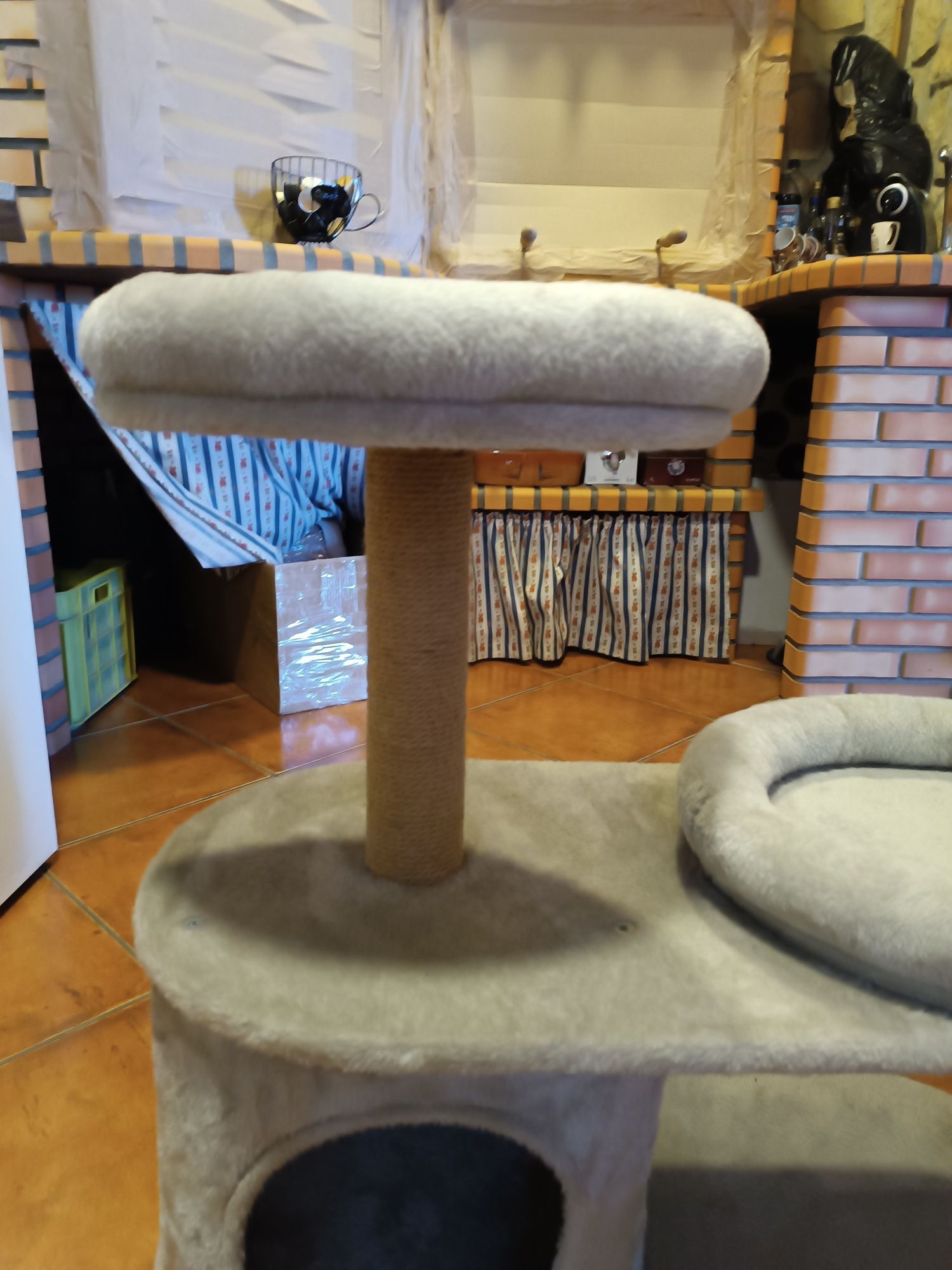 caminha e Descanso para gatos