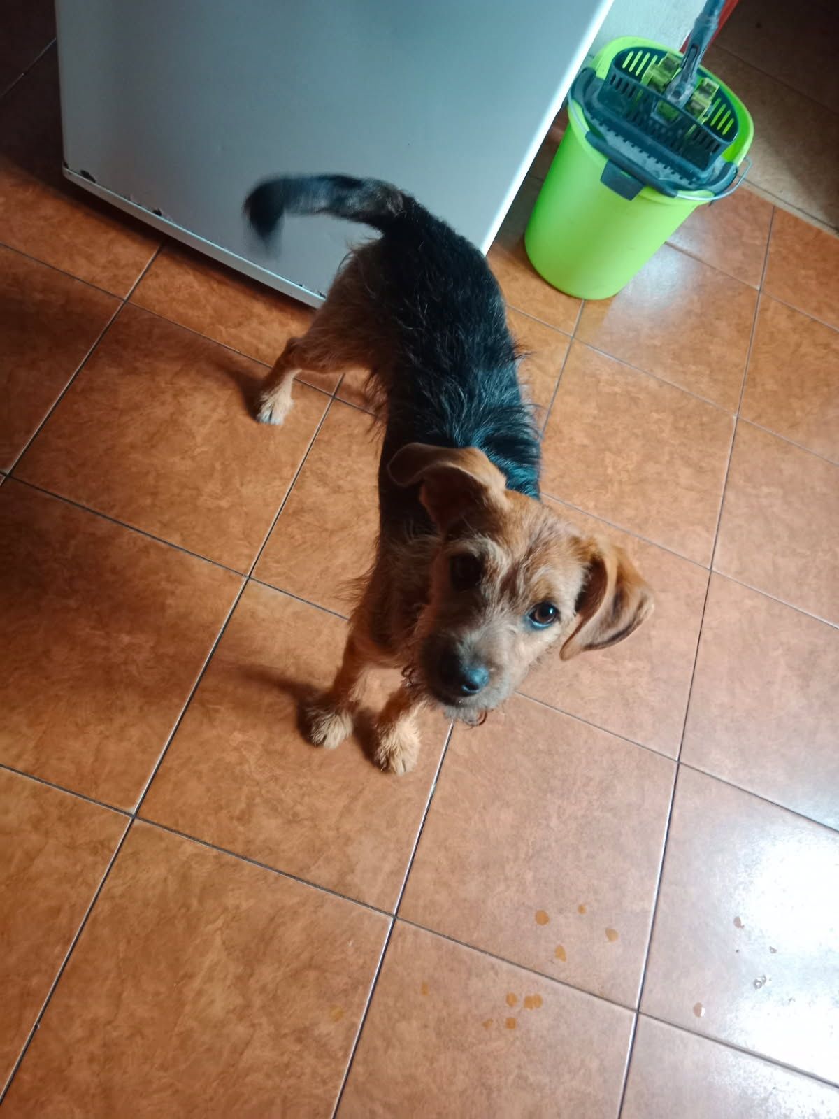 Oddam w dobre ręce